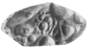 Wikipedia Bild