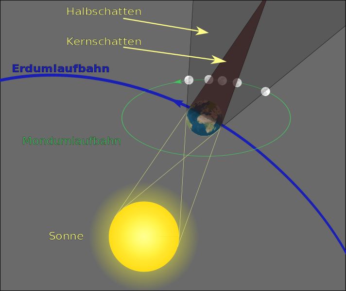 Wikipedia-Bild