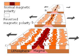 Spreizung des Meeresbodens mit
Magnetisierungsrichtung des erkalteten Magmas Riss