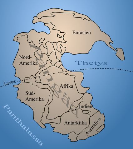 Wikipedia Bild